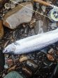 8lb Salmon caught in Little falls pool by Scott Armitage